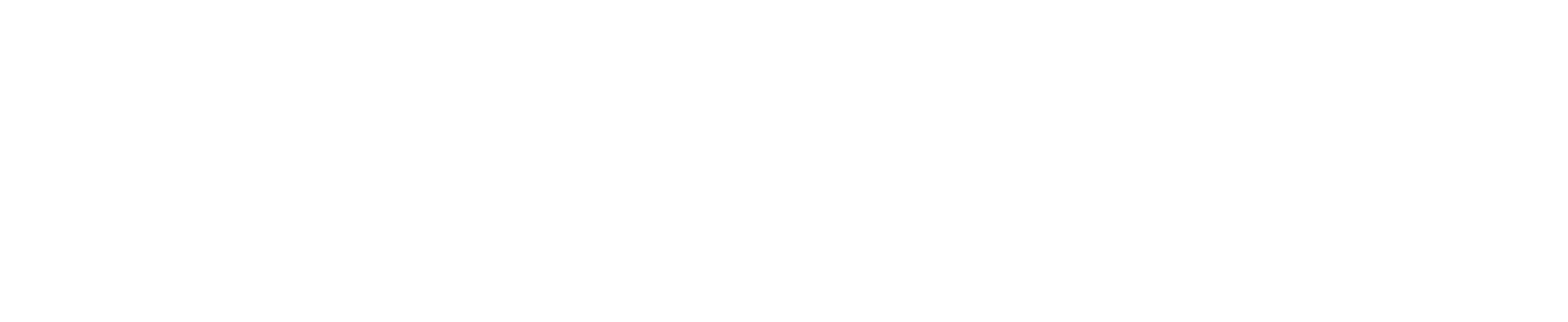 MAV VOYAGES Logo